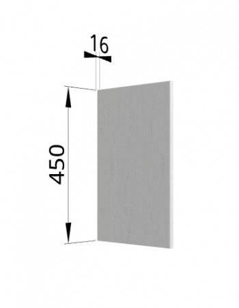 Панель торцевая (для шкафа горизонтального высокого) ВПГ Ройс (Графит софт) в Веселовском - veselovskoe.mebel54.com | фото